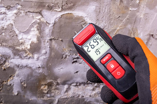 Best DIY Mold Remediation Support Services in Remerton, GA