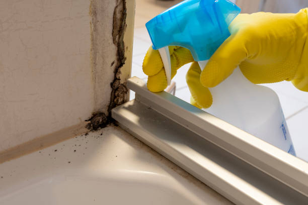 Best Mold Testing and Inspection Services in Remerton, GA